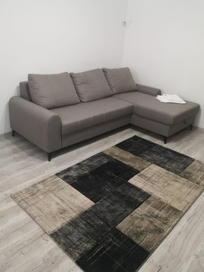Apartament Cu Doua Camere 塔古玖 外观 照片