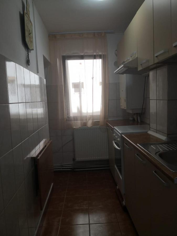 Apartament Cu Doua Camere 塔古玖 外观 照片