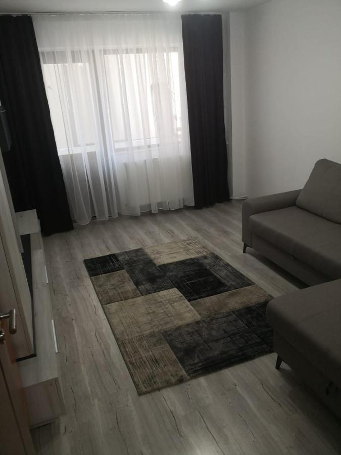 Apartament Cu Doua Camere 塔古玖 外观 照片